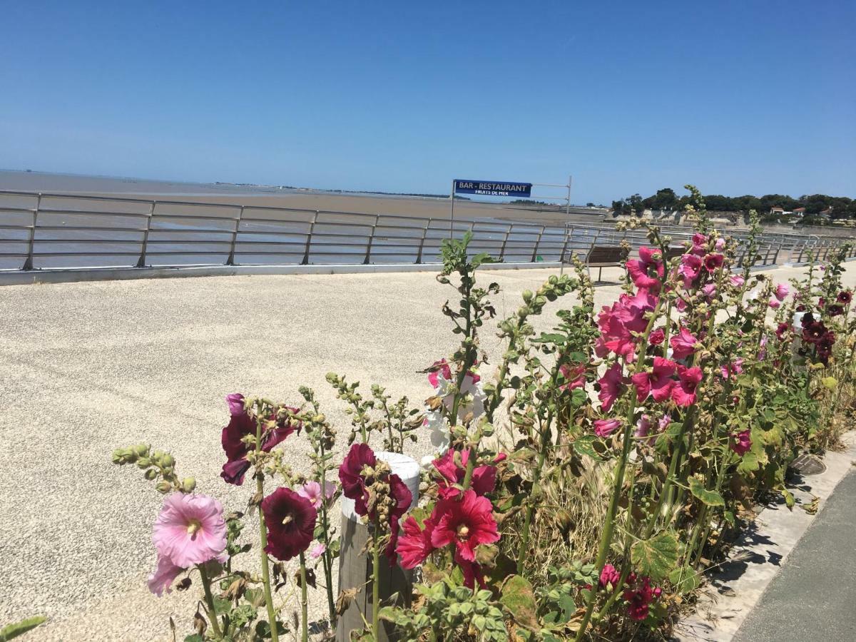 Petit Nid A 50M De La Plage Au Coeur De Fouras Kültér fotó
